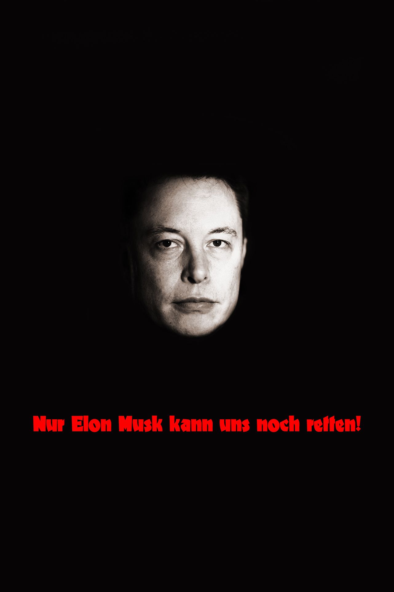 Nur Elon Musk kann uns noch retten